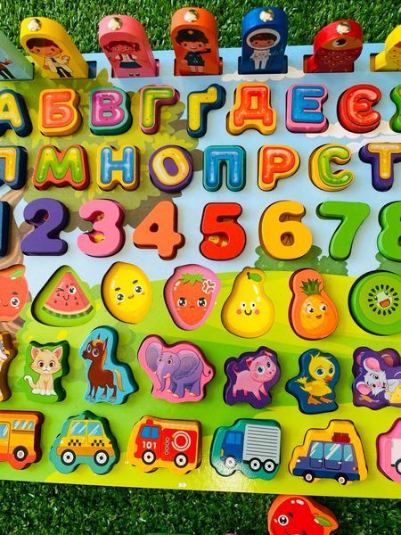 Деревянный сортер логическая доска 31592 WToys магнитная рыбалка 177467 фото